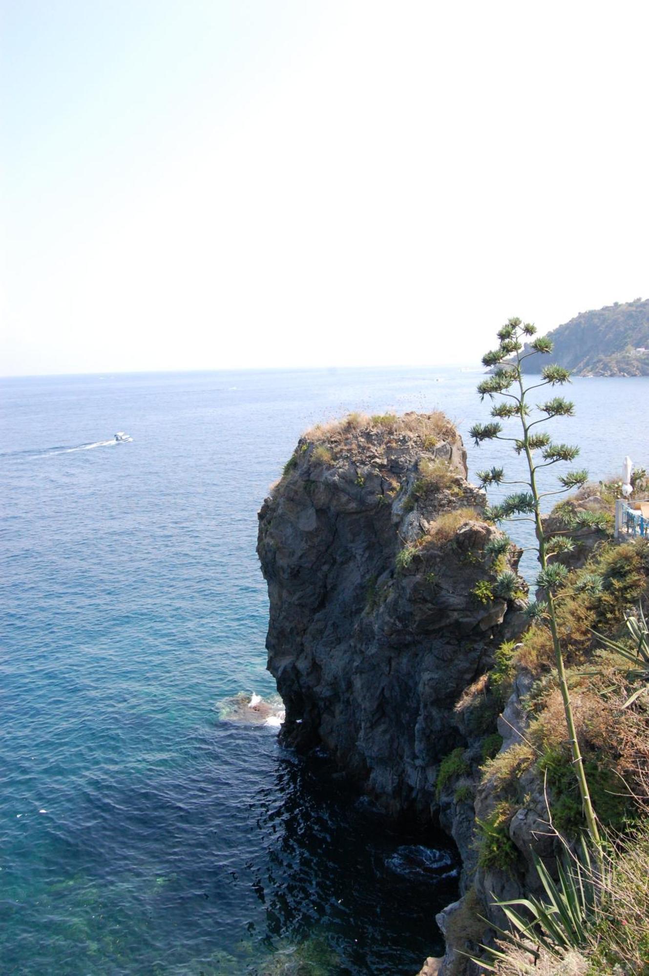 Giardino Sul Mare